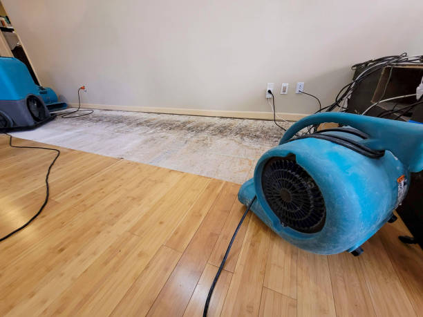 Professional Basement Flood Cleanup technician working in Bingen, WA